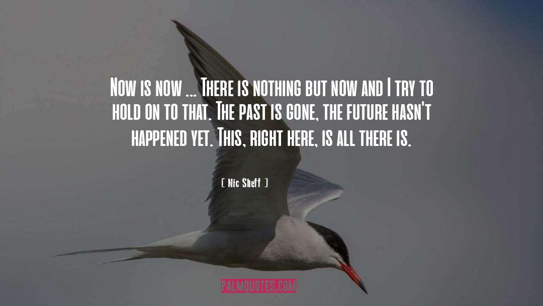 Nic Sheff Quotes: Now is now ... There