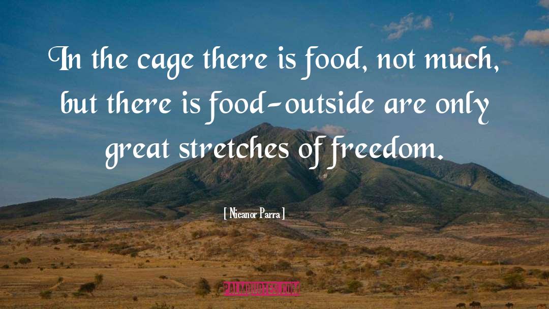 Nicanor Parra Quotes: In the cage there is