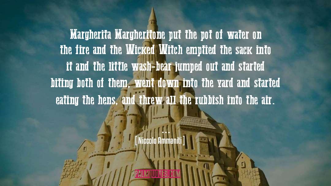 Niccolo Ammaniti Quotes: Margherita Margheritone put the pot