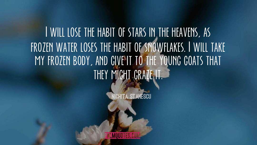 Nichita Stanescu Quotes: I will lose the habit