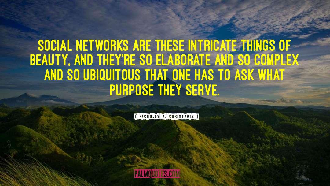 Nicholas A. Christakis Quotes: Social networks are these intricate
