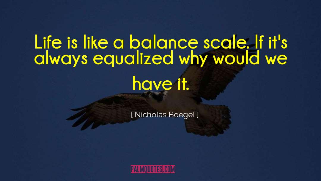 Nicholas Boegel Quotes: Life is like a balance