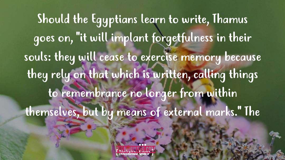 Nicholas Carr Quotes: Should the Egyptians learn to