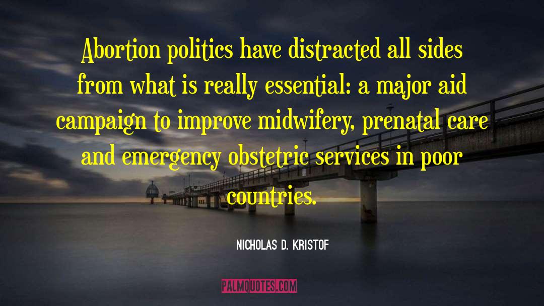 Nicholas D. Kristof Quotes: Abortion politics have distracted all