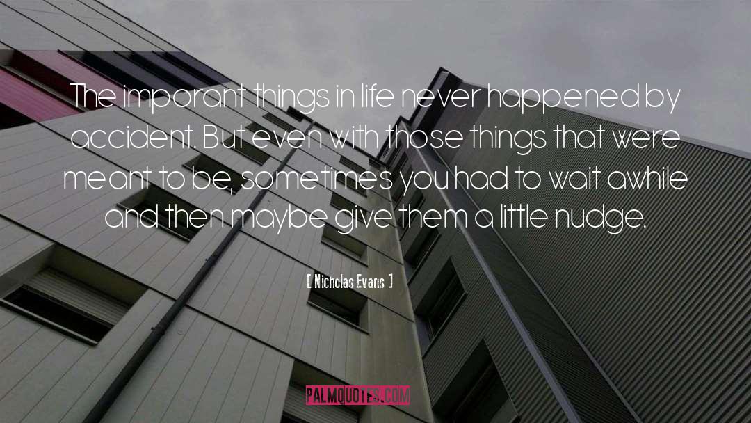 Nicholas Evans Quotes: The imporant things in life