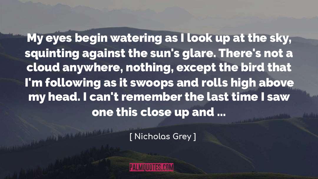 Nicholas Grey Quotes: My eyes begin watering as