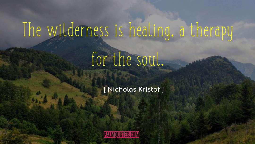 Nicholas Kristof Quotes: The wilderness is healing, a
