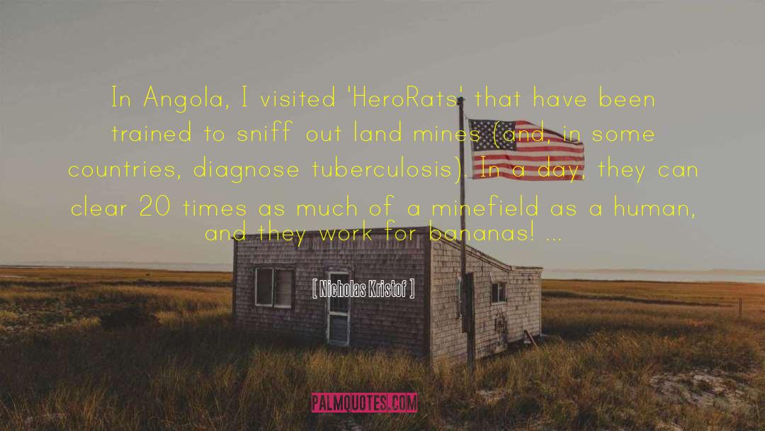 Nicholas Kristof Quotes: In Angola, I visited 'HeroRats'