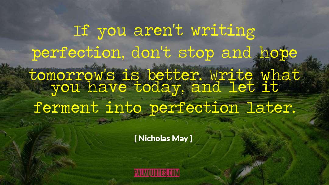 Nicholas May Quotes: If you aren't writing perfection,