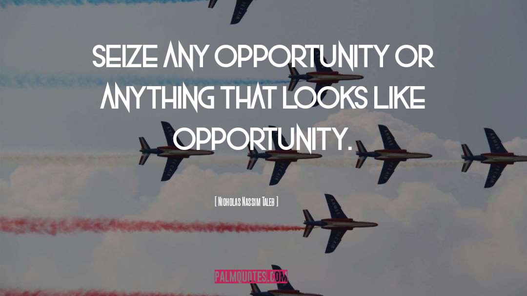 Nicholas Nassim Taleb Quotes: Seize any opportunity or anything
