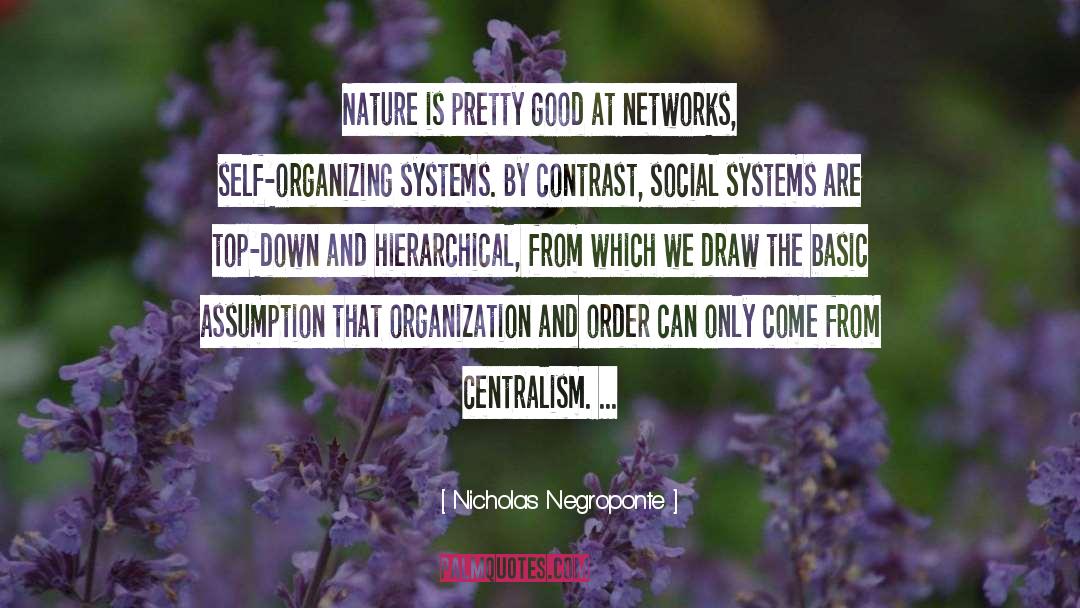 Nicholas Negroponte Quotes: Nature is pretty good at