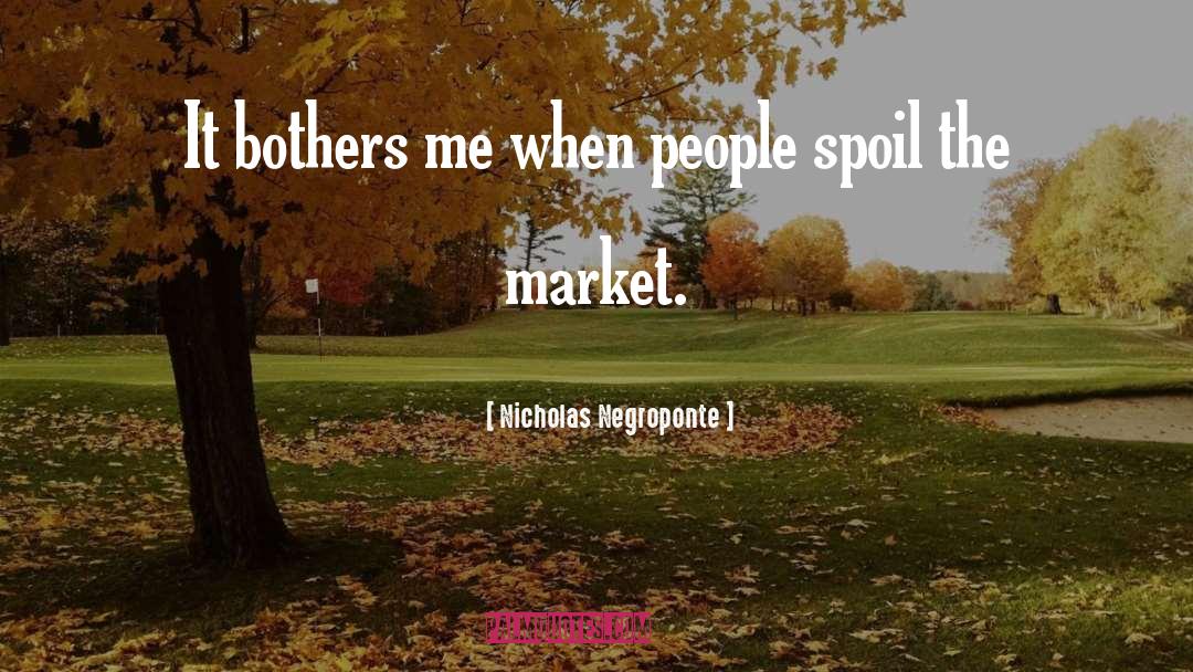 Nicholas Negroponte Quotes: It bothers me when people