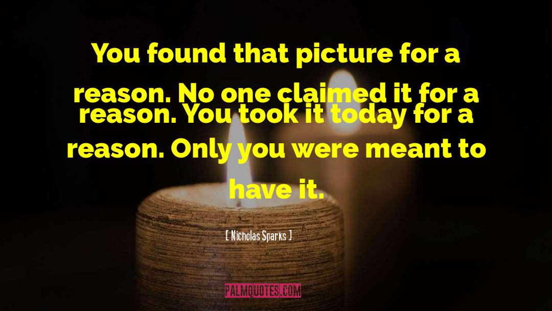 Nicholas Sparks Quotes: You found that picture for