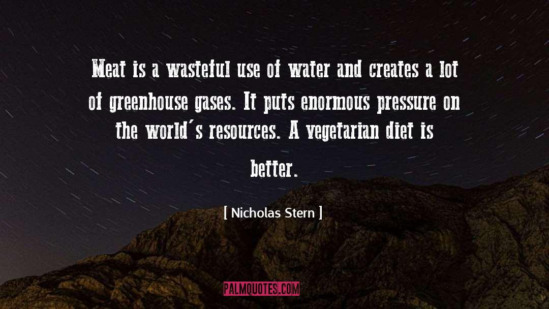 Nicholas Stern Quotes: Meat is a wasteful use