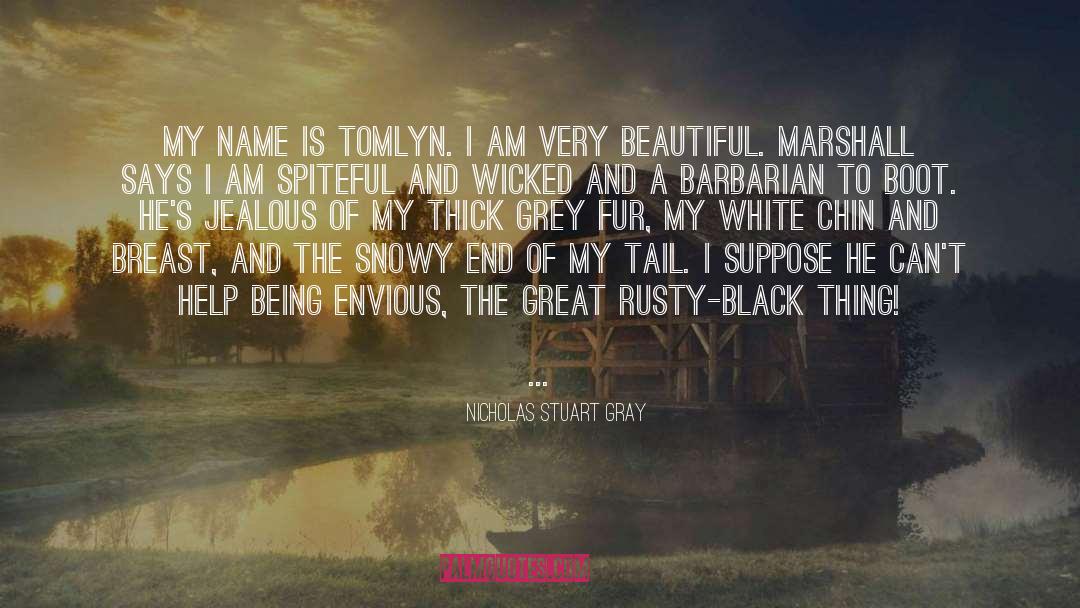 Nicholas Stuart Gray Quotes: My name is Tomlyn. I