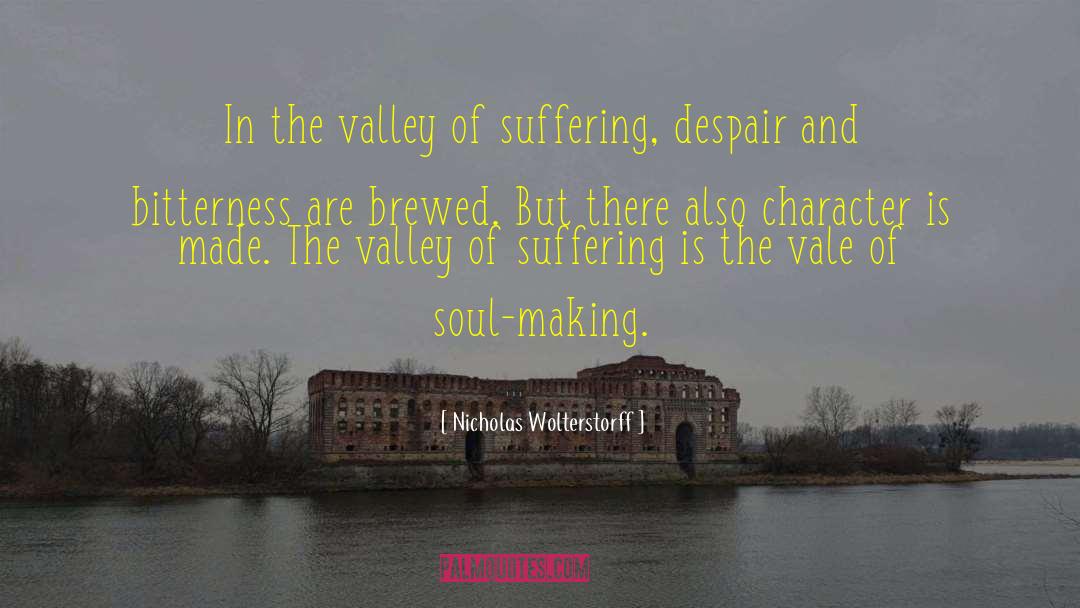 Nicholas Wolterstorff Quotes: In the valley of suffering,