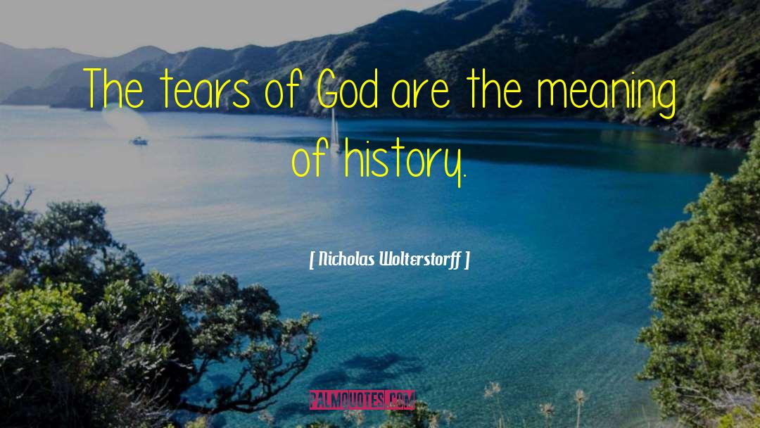 Nicholas Wolterstorff Quotes: The tears of God are