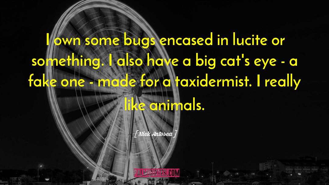 Nick Antosca Quotes: I own some bugs encased