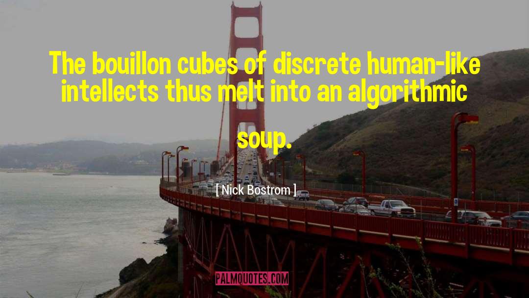 Nick Bostrom Quotes: The bouillon cubes of discrete