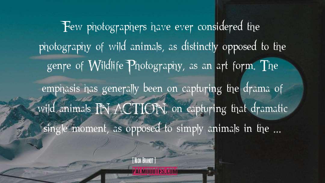 Nick Brandt Quotes: Few photographers have ever considered