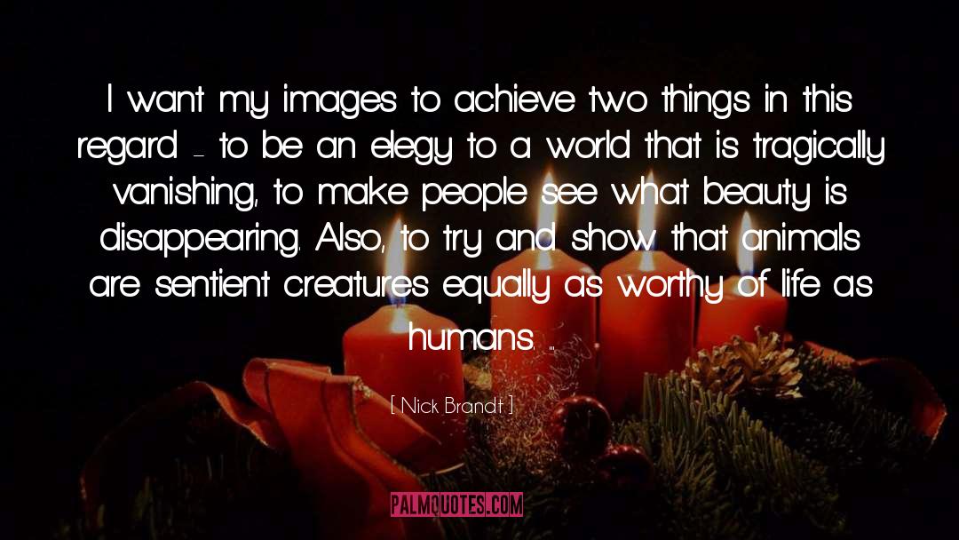 Nick Brandt Quotes: I want my images to