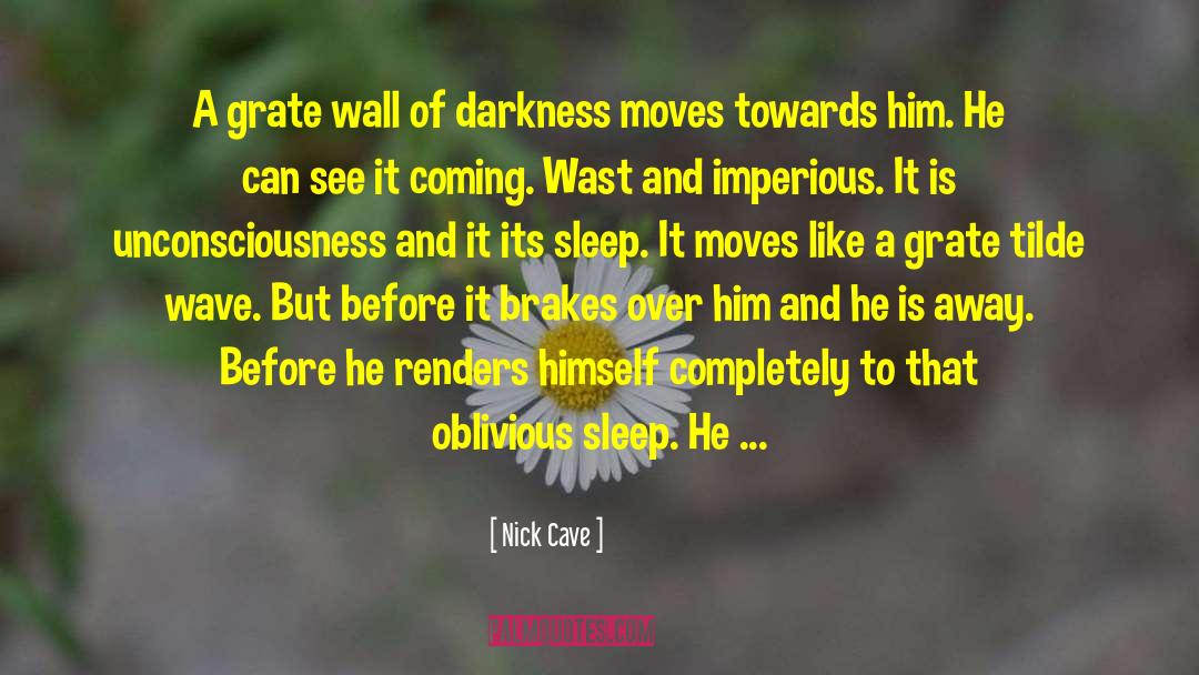 Nick Cave Quotes: A grate wall of darkness