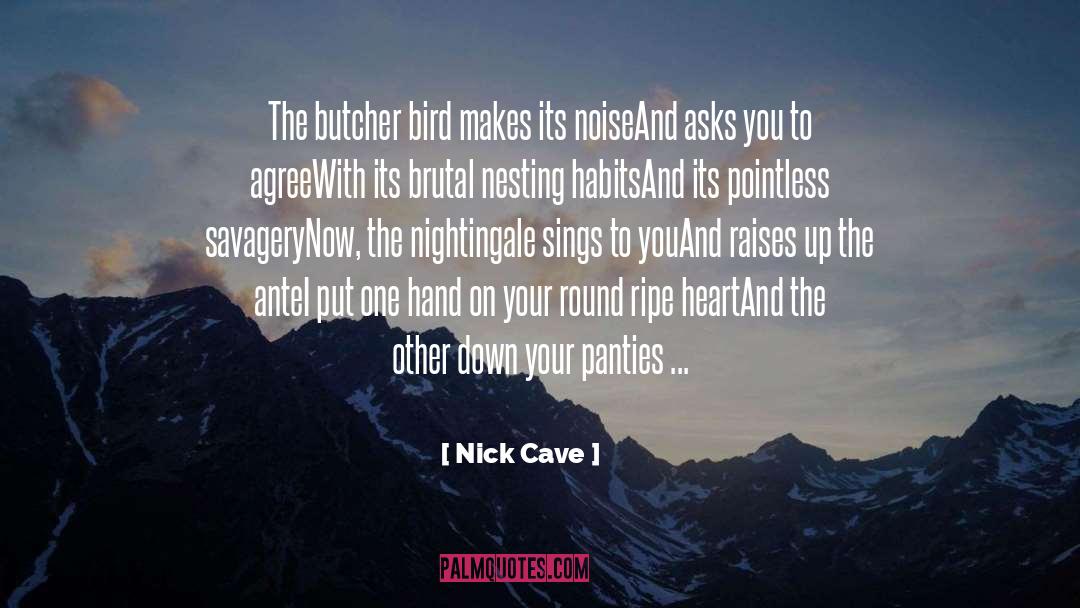 Nick Cave Quotes: The butcher bird makes its