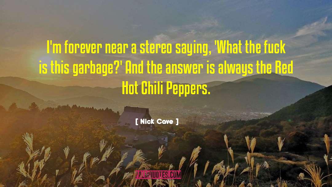 Nick Cave Quotes: I'm forever near a stereo