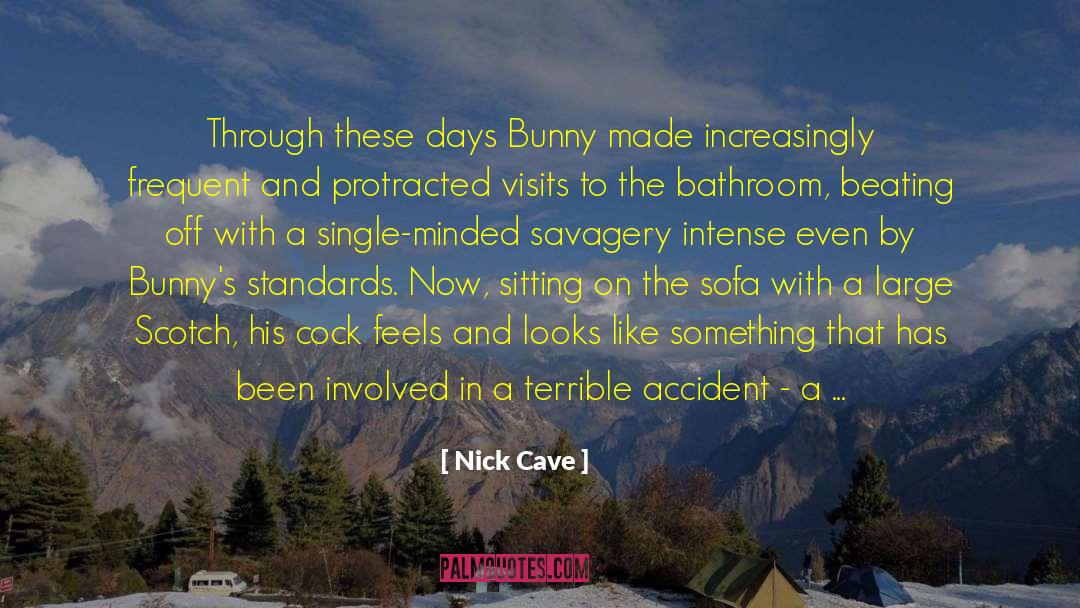 Nick Cave Quotes: Through these days Bunny made