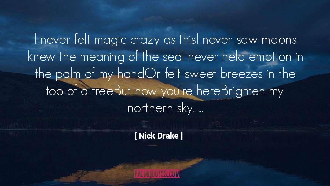 Nick Drake Quotes: I never felt magic crazy