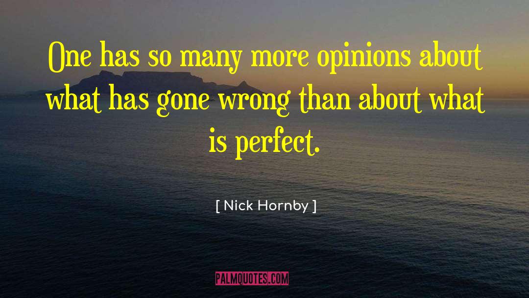 Nick Hornby Quotes: One has so many more