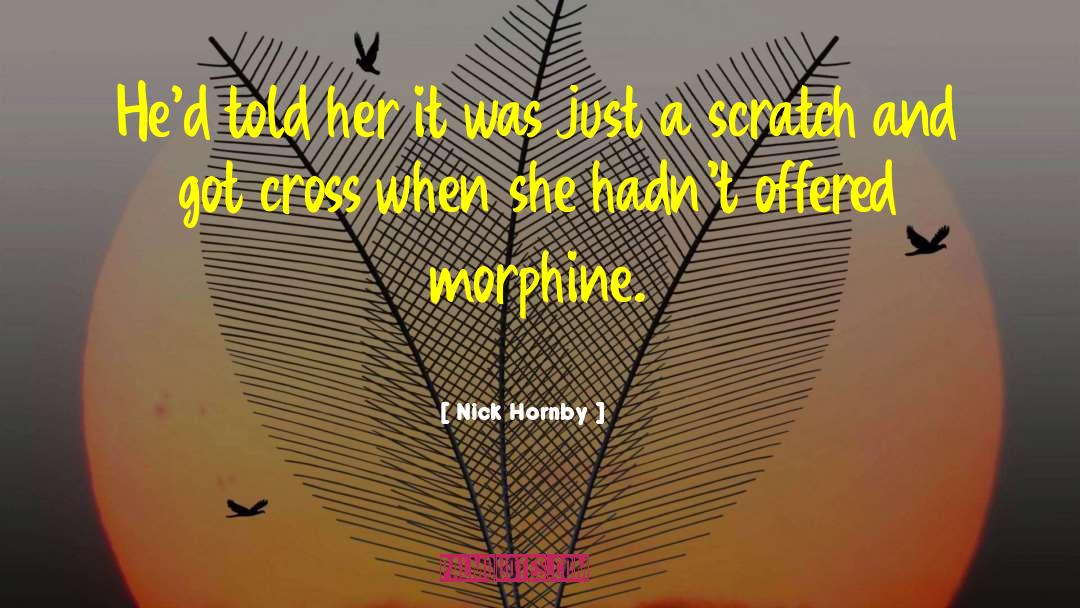 Nick Hornby Quotes: He'd told her it was