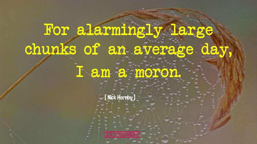 Nick Hornby Quotes: For alarmingly large chunks of