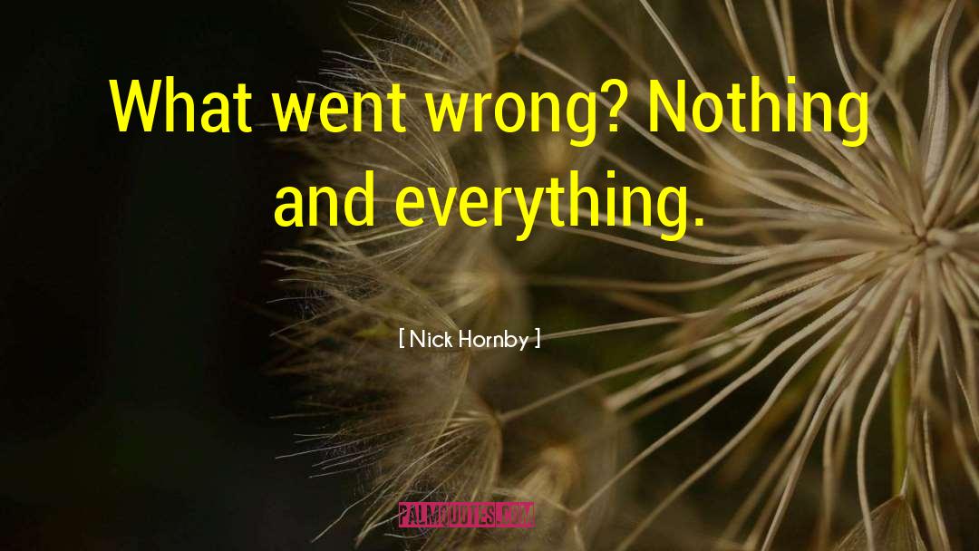 Nick Hornby Quotes: What went wrong? Nothing and