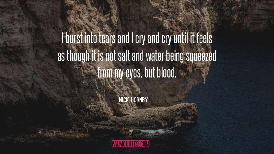 Nick Hornby Quotes: I burst into tears and