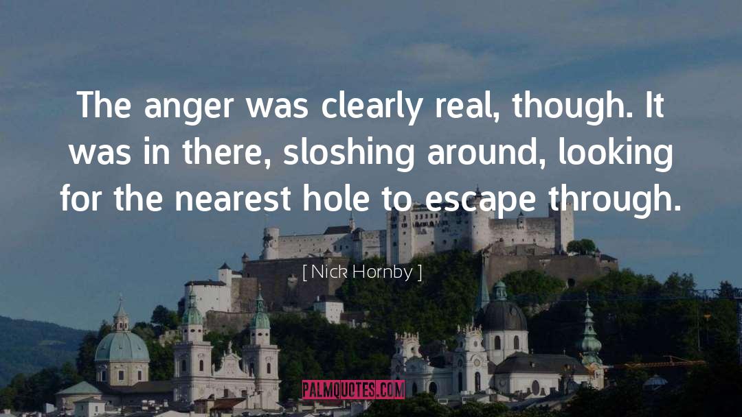 Nick Hornby Quotes: The anger was clearly real,
