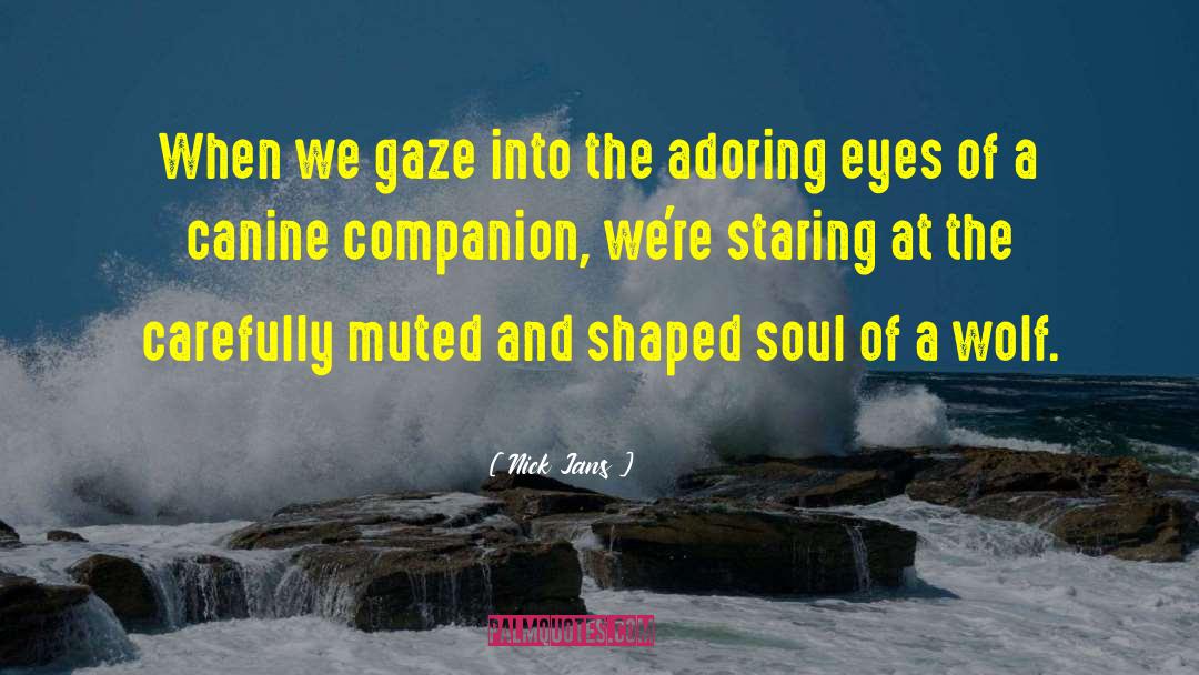 Nick Jans Quotes: When we gaze into the