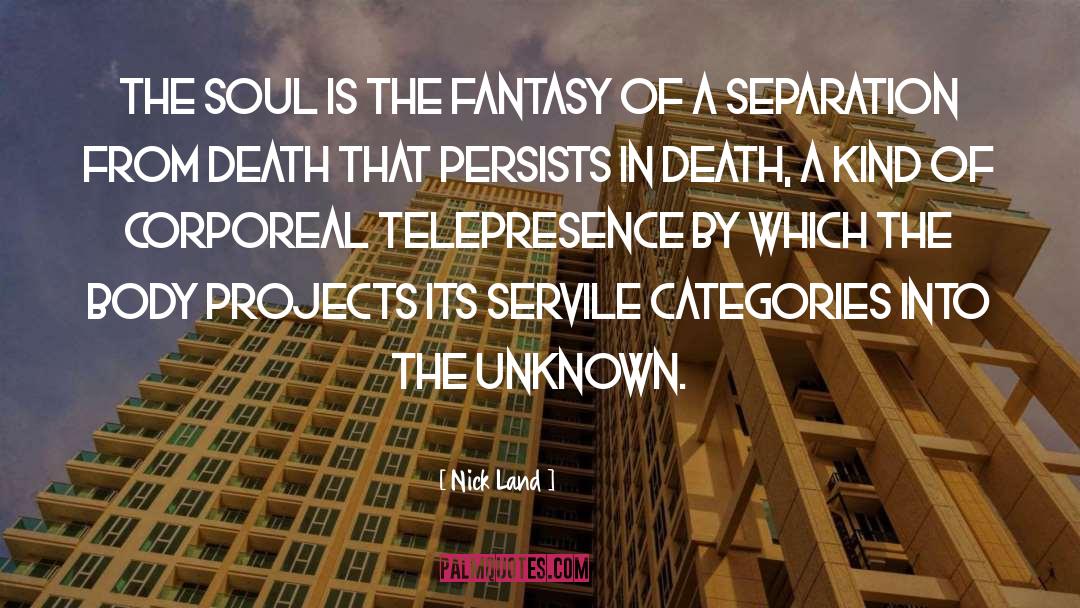 Nick Land Quotes: The soul is the fantasy