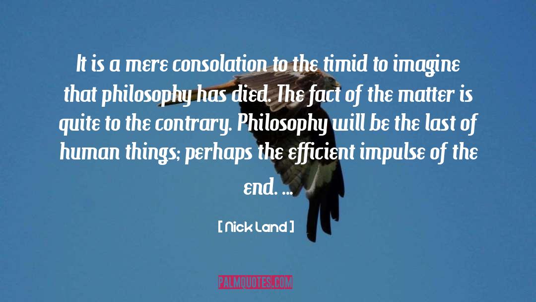 Nick Land Quotes: It is a mere consolation
