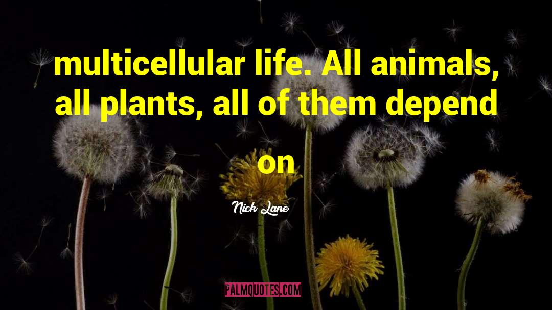 Nick Lane Quotes: multicellular life. All animals, all