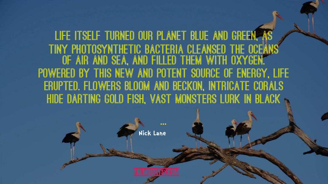 Nick Lane Quotes: Life itself turned our planet