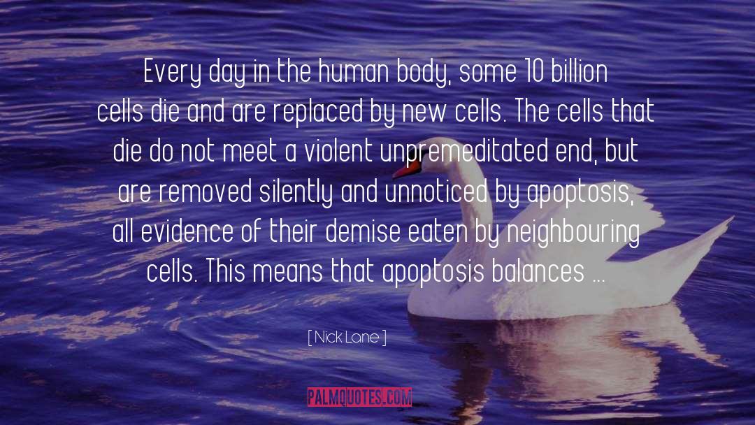 Nick Lane Quotes: Every day in the human