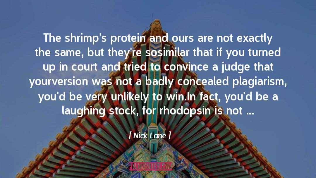Nick Lane Quotes: The shrimp's protein and ours