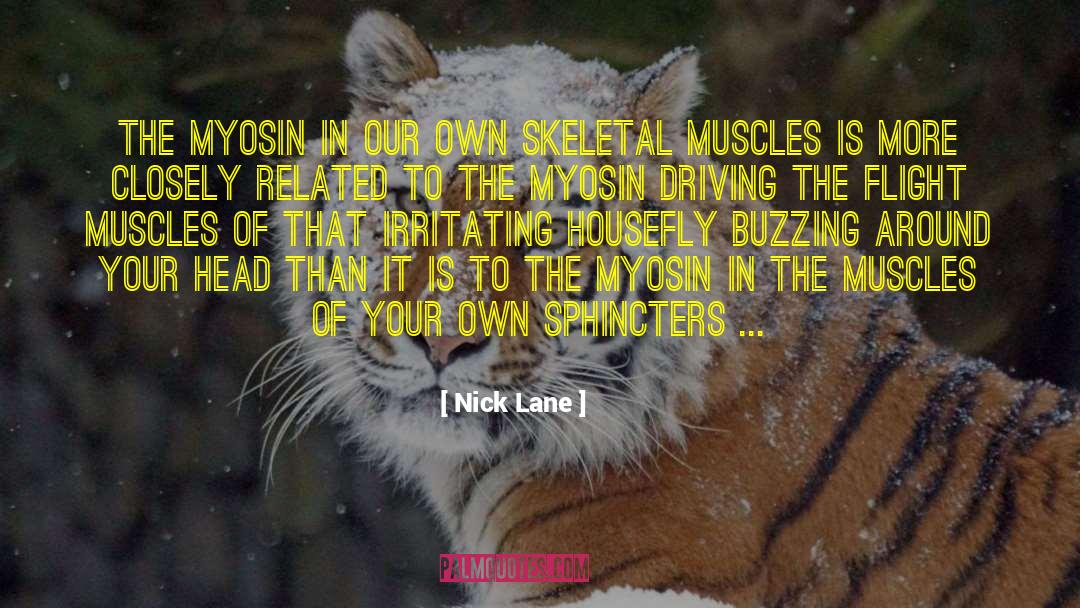 Nick Lane Quotes: The myosin in our own