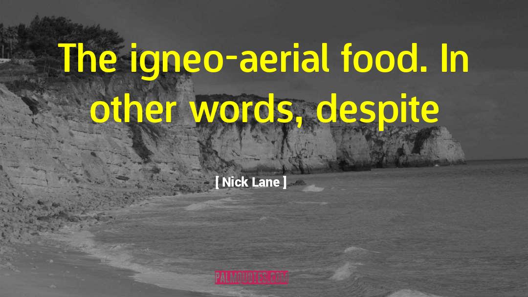 Nick Lane Quotes: The igneo-aerial food. In other