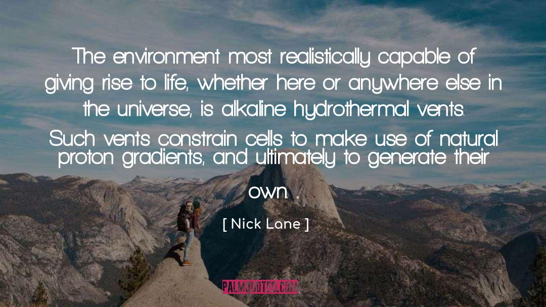 Nick Lane Quotes: The environment most realistically capable