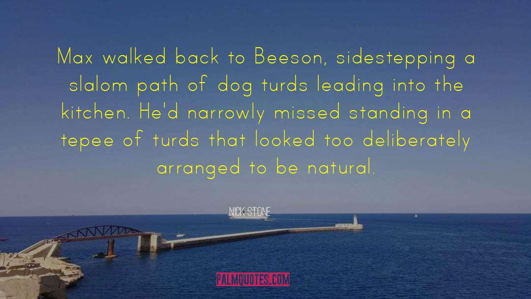 Nick Stone Quotes: Max walked back to Beeson,