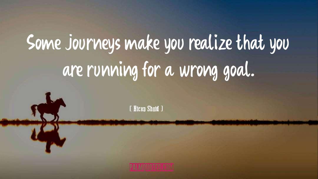 Nicko Shoid Quotes: Some journeys make you realize