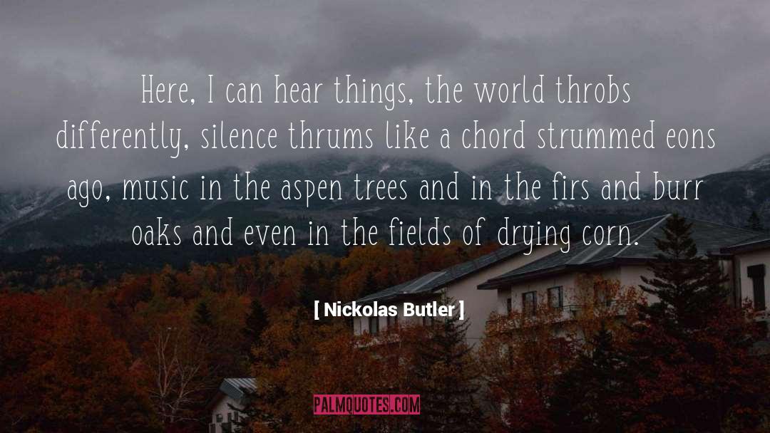 Nickolas Butler Quotes: Here, I can hear things,