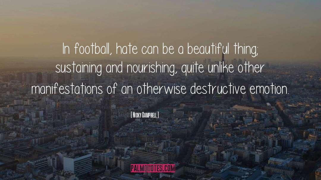 Nicky Campbell Quotes: In football, hate can be